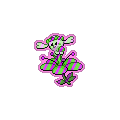 Exotic Flabebe